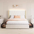 Acekool Queen Bed - LED Lights & Storage Drawers