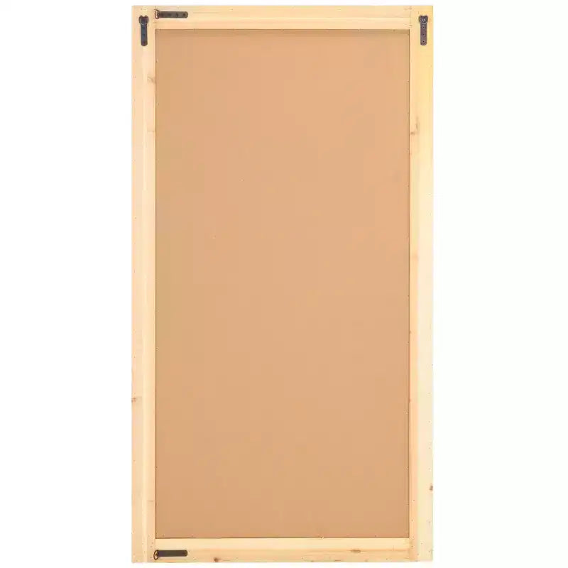 Mirror - 29.72 x 54.9