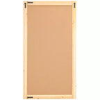 Miroir - 29,72 x 54,9
