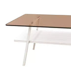 Table basse rectangulaire avec plateau en verre trempé et pieds en métal, table de salon moderne