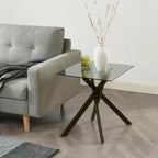 Probe Hues Modern Glass Side Table with Tempered Top and Metal Legs for Living Room